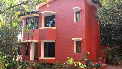 Tree Top Bungalows