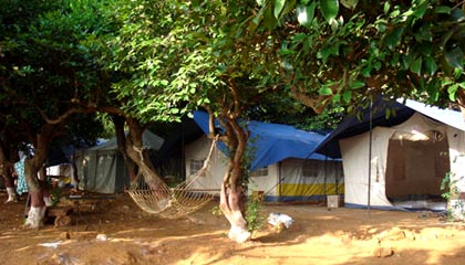 Koyna Backwater Camp